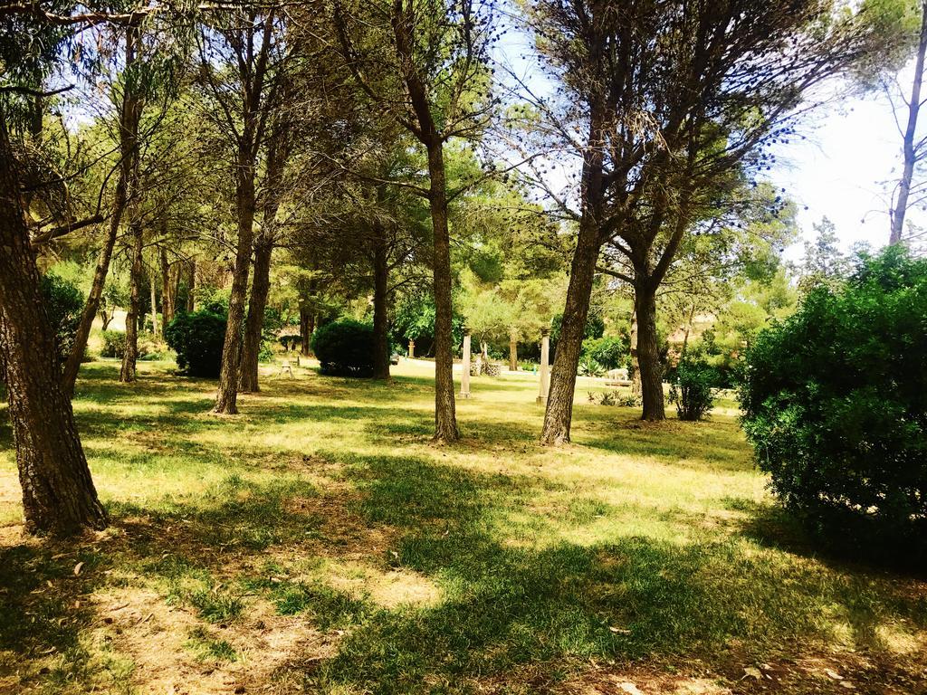 Private Villas Puerto Pollensa For Family Groups, Private Mountain Ideal For Runners, Trailers, Hikers, It Is Approximately 3 Minute Walk From The Beach 외부 사진